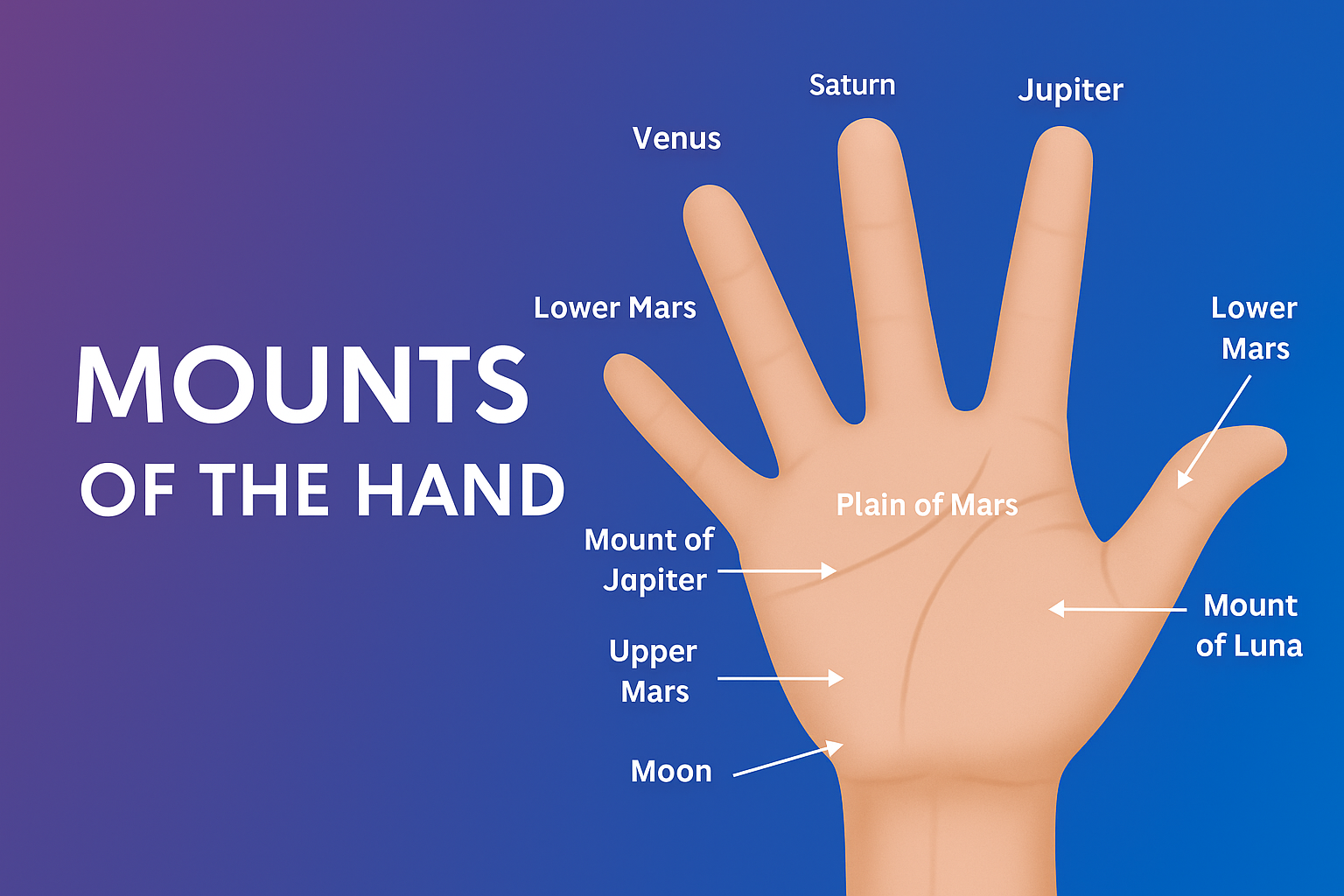Mounts of the Hand